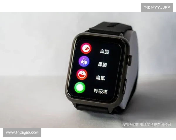 搏击赛事死亡率十年首降 医疗监护系统升级显著成效